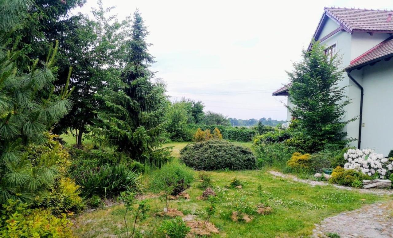 Apartamenty Zielona Gora Exterior photo