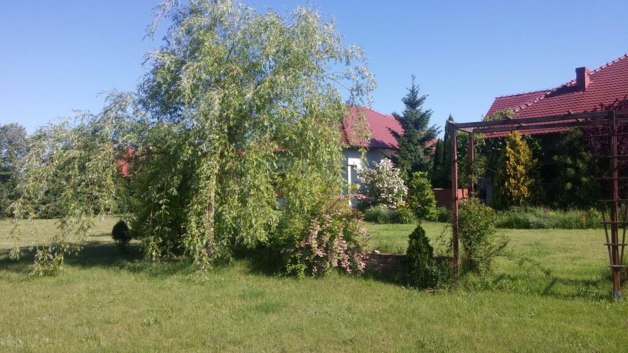 Apartamenty Zielona Gora Exterior photo